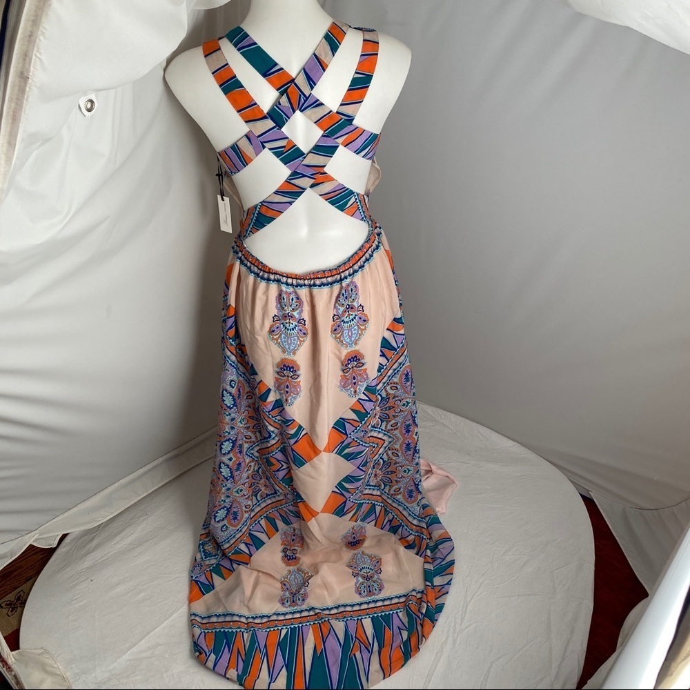 Lovers and Friends Kitty Cat Blush Scarf multicolor maxi dress - Picture 6 of 14